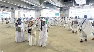 إشادات عربية بموسم حج ناجح