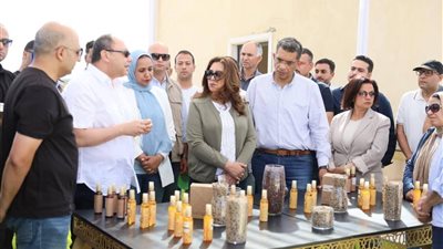 محافظ البحر الأحمر: مشروع الجوجوبا  أحد المشروعات الواعدة نحو التنمية المستدامة 