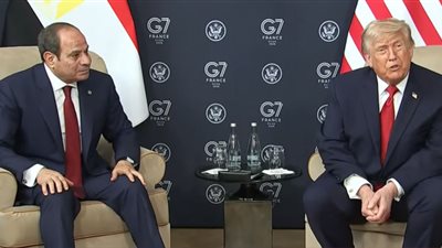 أستاذ علاقات دولية: تصريحات ترامب كشفت التعنت الإثيوبي.. وقمة السبع تؤكد محورية مصر