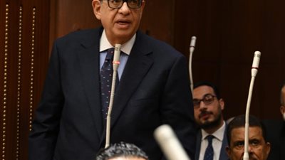 طارق عبد العزيز: دراسة الأثر التشريعي لقانون الشركات تستوجب تحرك حكومي لإجراء تعديلات على القانون