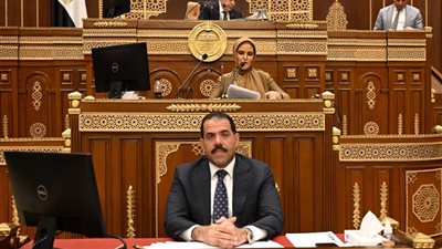 مجلس الشيوخ يحيل دراسة تعديل قانون الشركات إلى رئيس الجمهورية