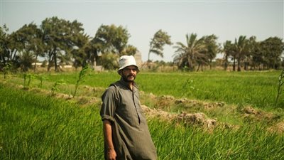 فهيم: التغيرات المناخية هزمت خبرة الآلاف السنين.. والتكنولوجيا طوق النجاة لـ 200000 مزارع