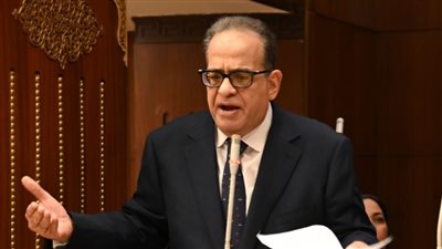 رئيس برلمانية الوفد ينتقد عدم الاستجابة لتوصيات الشيوخ للنهوض بالصناعة