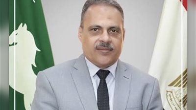 محافظ الشرقية