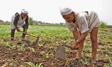 مزارعي مصر