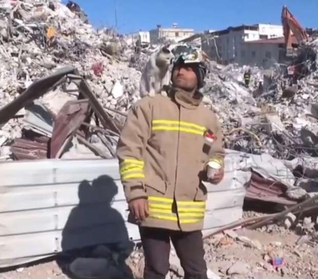 الزلزال المدمر في تركيا