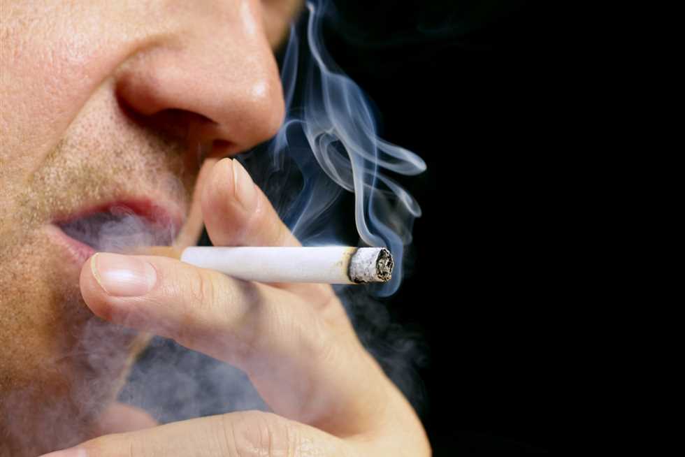 شركة فيليب موريس مصر