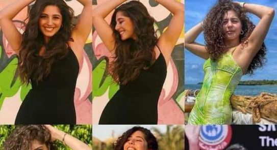 مايان السيد