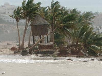 اعصار شاهين 