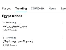 دينا الشربيني 