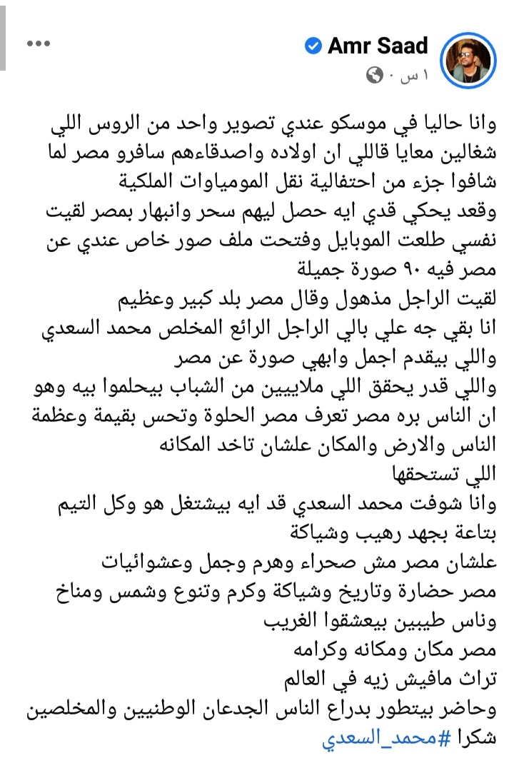 عمرو سعد 