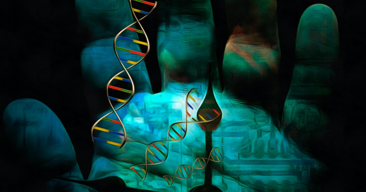 نظرية الانتقاء البشري