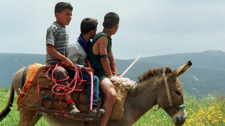 ركوب الحمير في لبنان