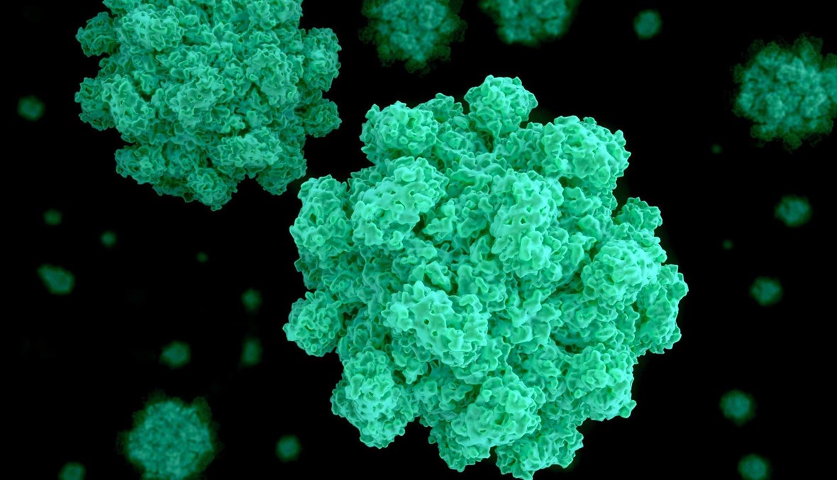 نوروفيروس.. لا تغادر منزلك في حال الإصابة بهذه الأعراض