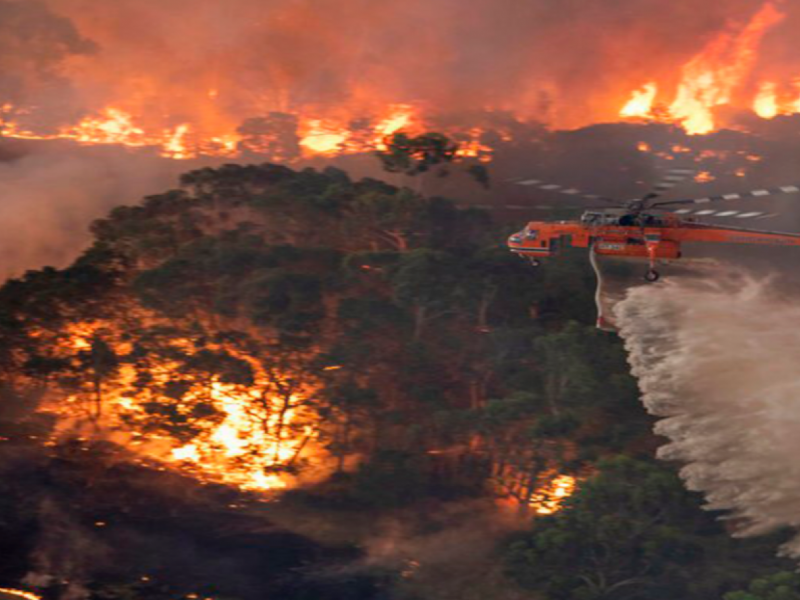 تحذير من كارثة بشرية مع استمرار ارتفاع درجات الحرارة