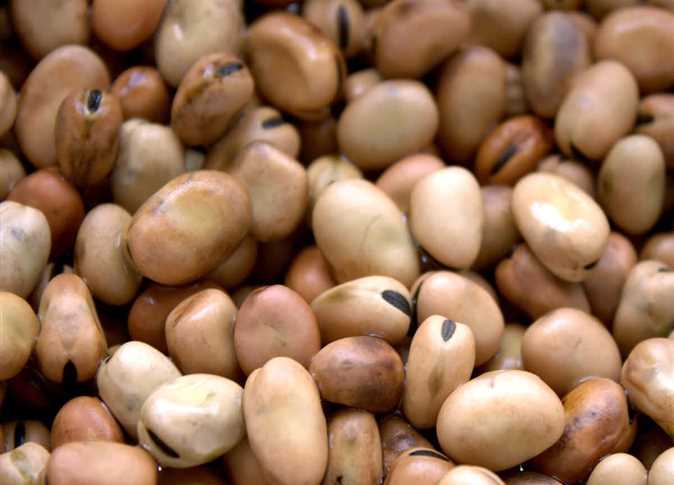 فول بالصلصة