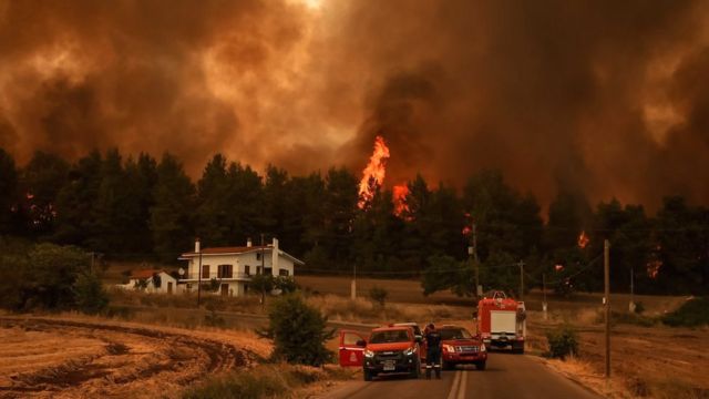 حريق الغابات في اليونان