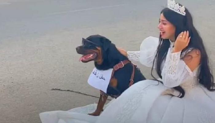 هبة مبروك