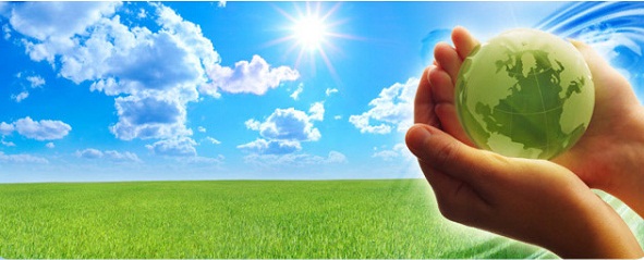 التوسع في المشروعات الصديقة للبيئة