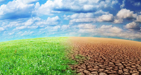 استراتيجية لمواجهة التغير المناخي