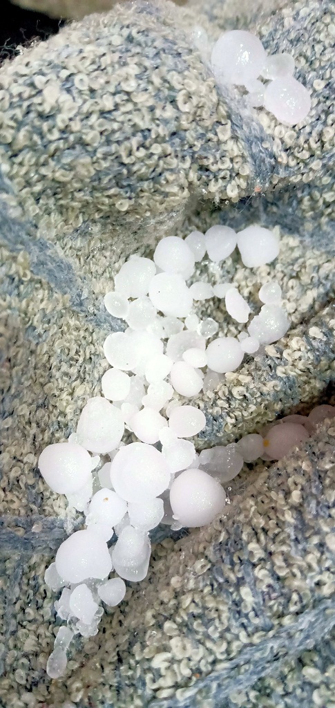 الطقس الإسكندرية