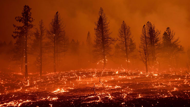 حرائق الغابات في أمريكا الجنوبية