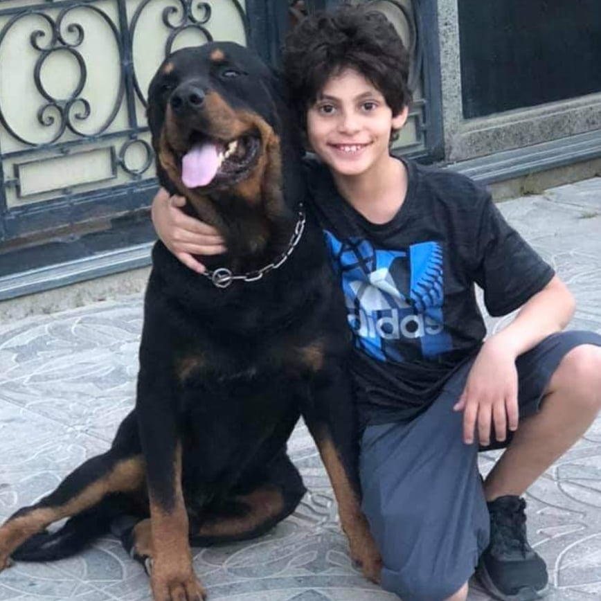 عمر شريف بطل فيلم برا المنهج