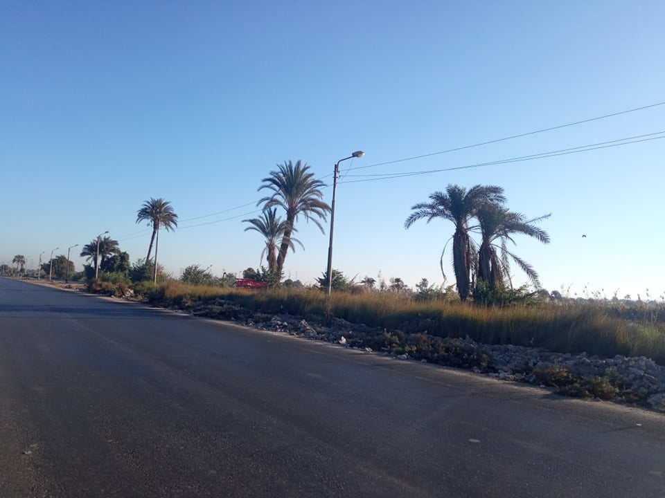 طقس المنيا.. بارد نهاراً شديد البرودة ليلًا