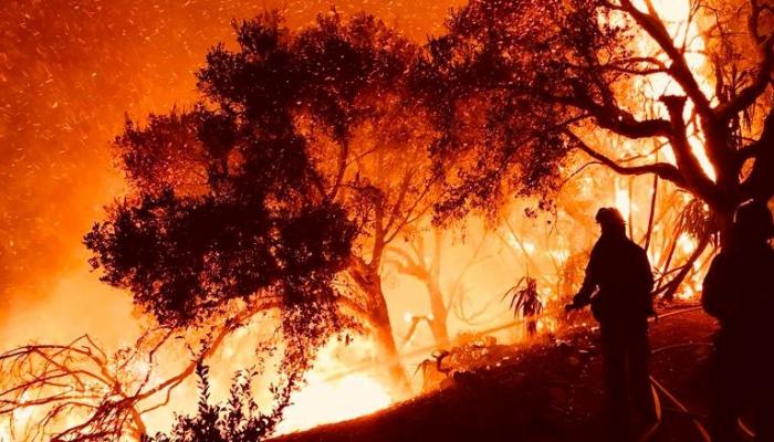 حرائق الغابات في أمريكا الجنوبية