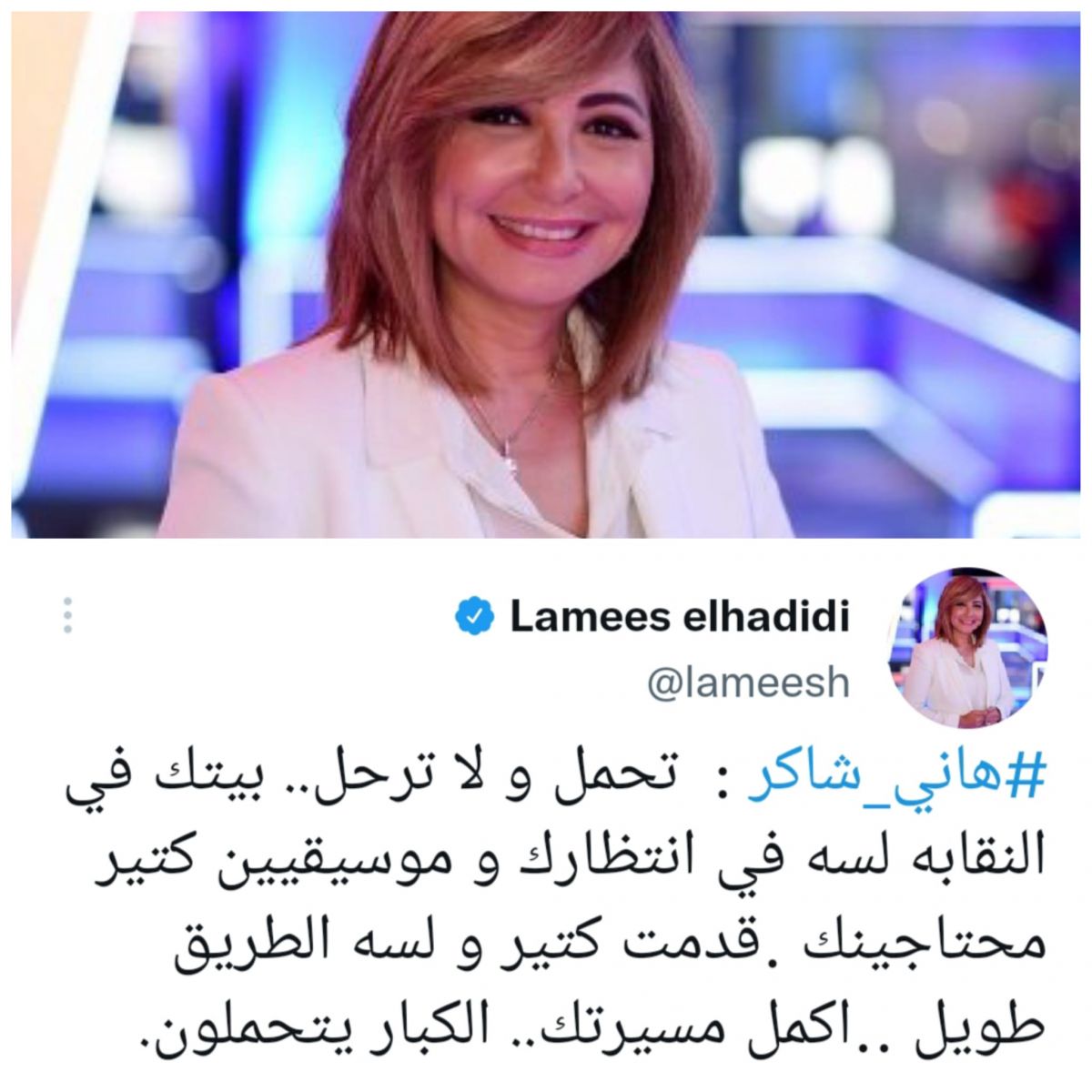 لميس الحديدي