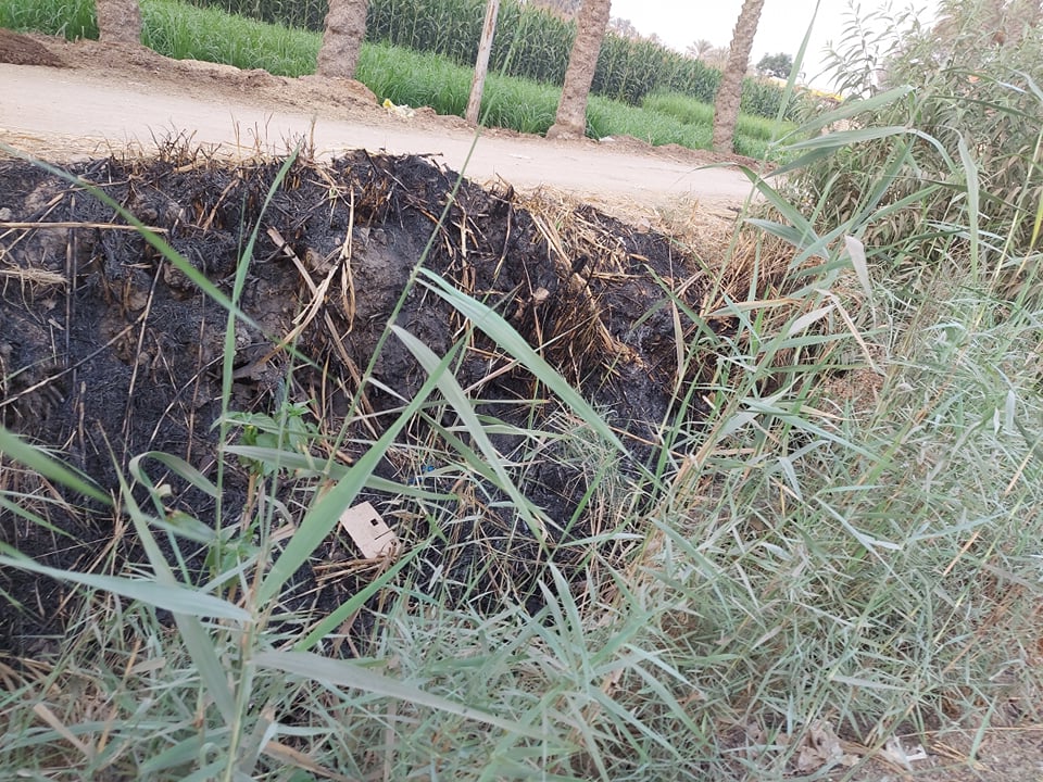 ترعة ابو غالي