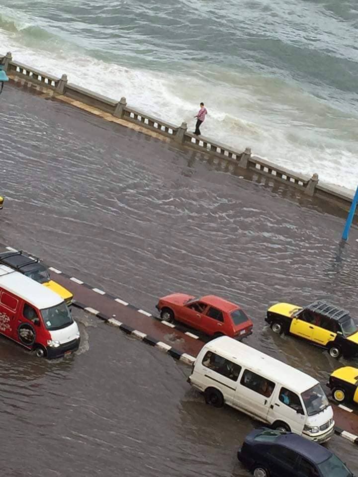 سيول اسكندرية