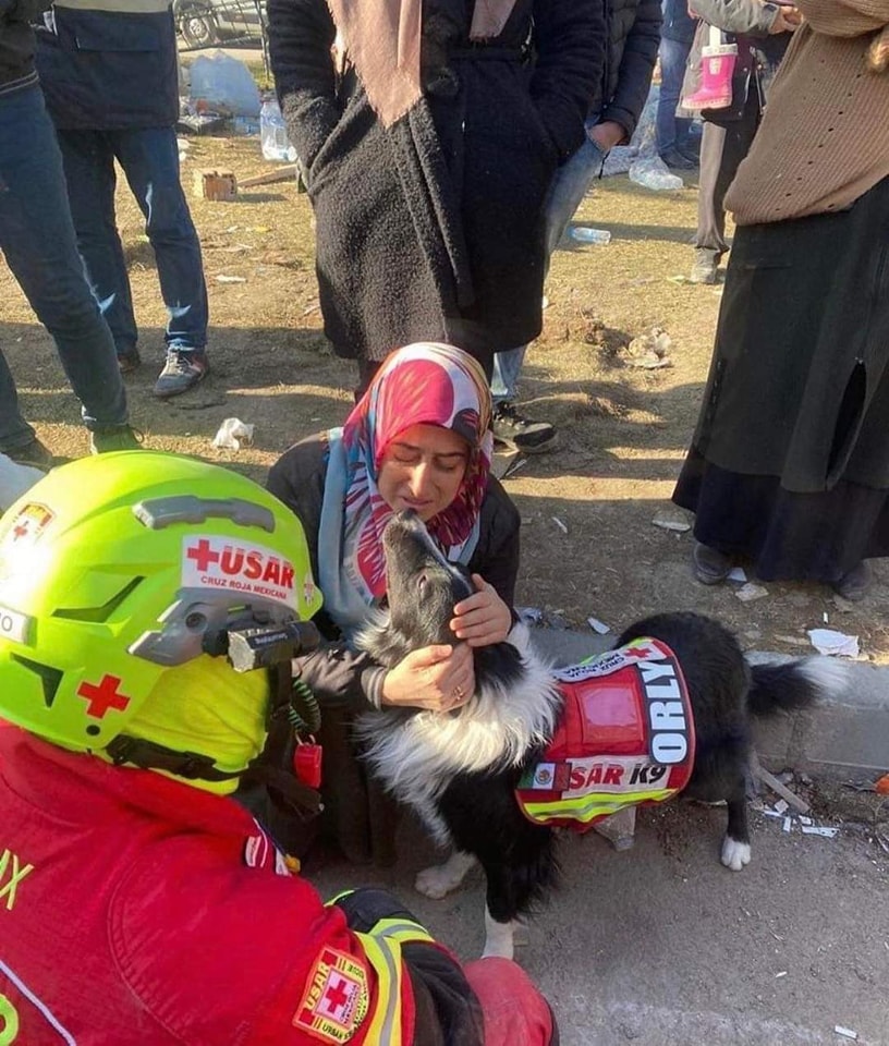 كلاب الإنقاذ