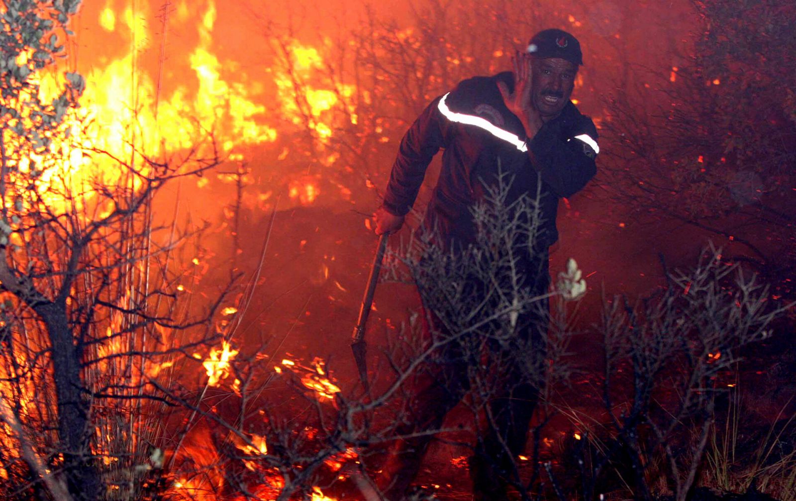 حرائق الغابات في الجزائر