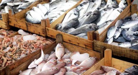 أسعار الأسماك