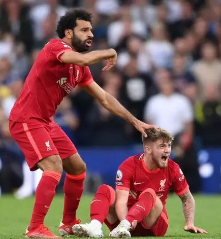 منتخب مصر للكرة الطائرة