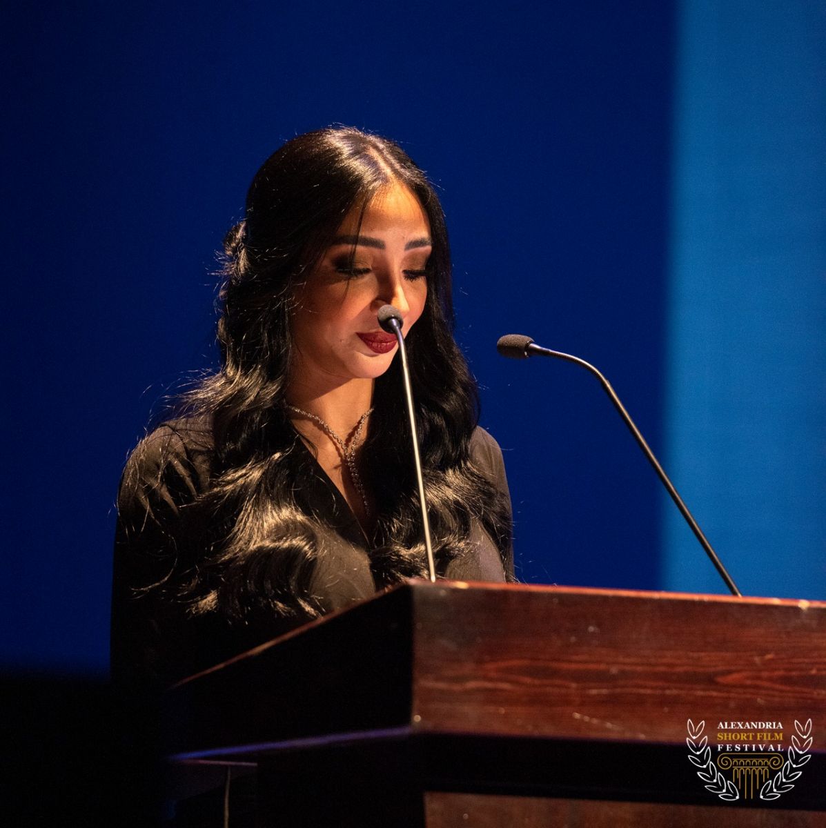 مهرجان الإسكندرية للفيلم القصير 