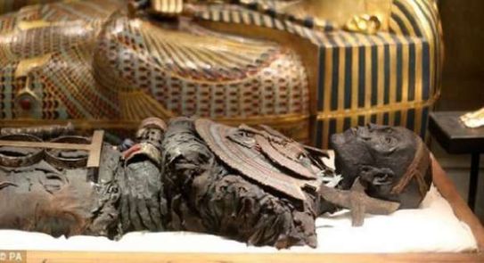 علاقة لعنة الفراعنة باحداث البلاد