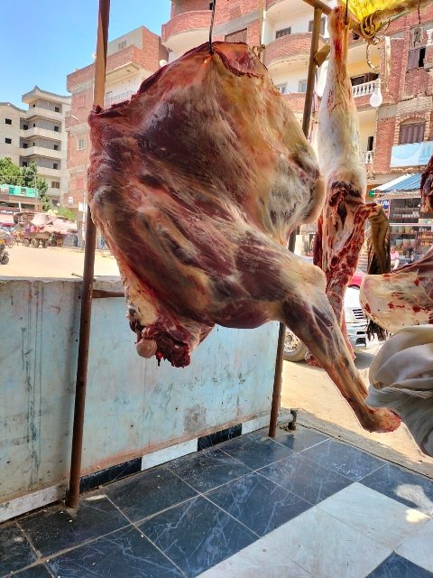 تموين الشرقية يشن حملات تفتيشية على محال الجزارة والمخابز ببلبيس