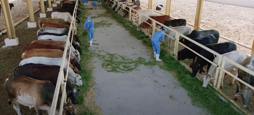 وادى النطرون 