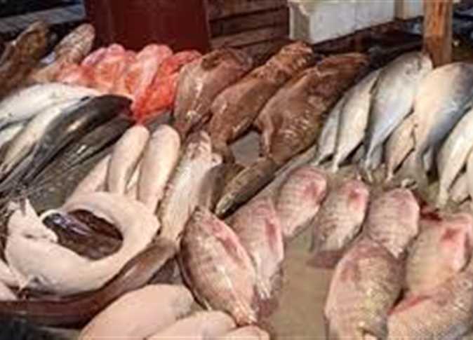 أسعار الأسماك