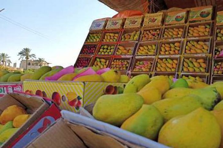 أسعار المانجو