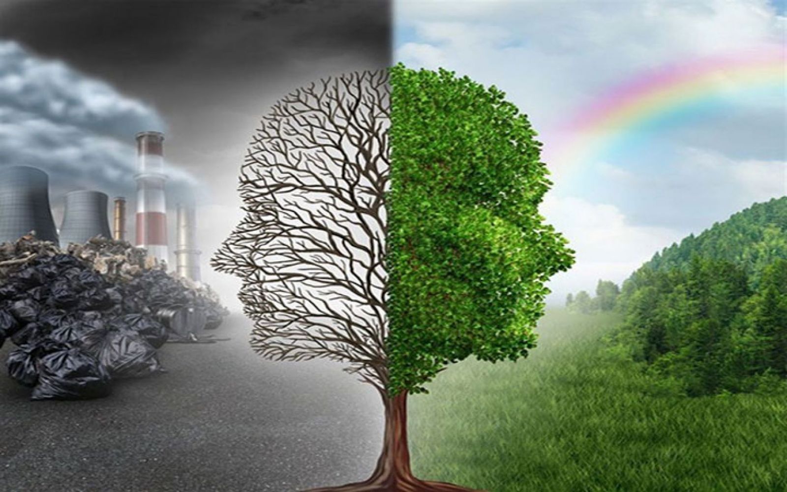 التغيرات المناخية 