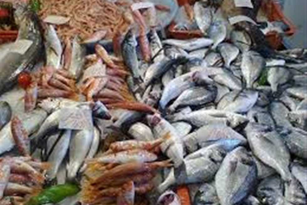 أسعار الأسماك