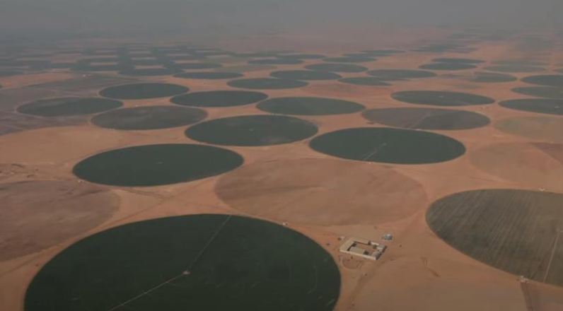 مشروع الدلتا الجديد