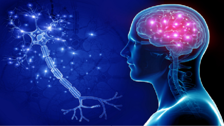 مكمل غذائي يحمي الذاكرة