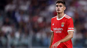 أنطونيو سيلفا، مدافع بنفيكا