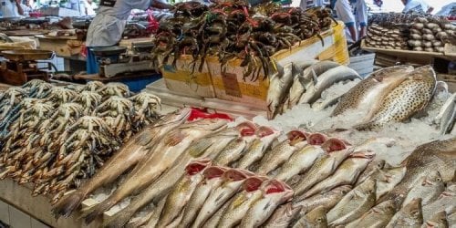 أسعار الأسماك في الأسواق