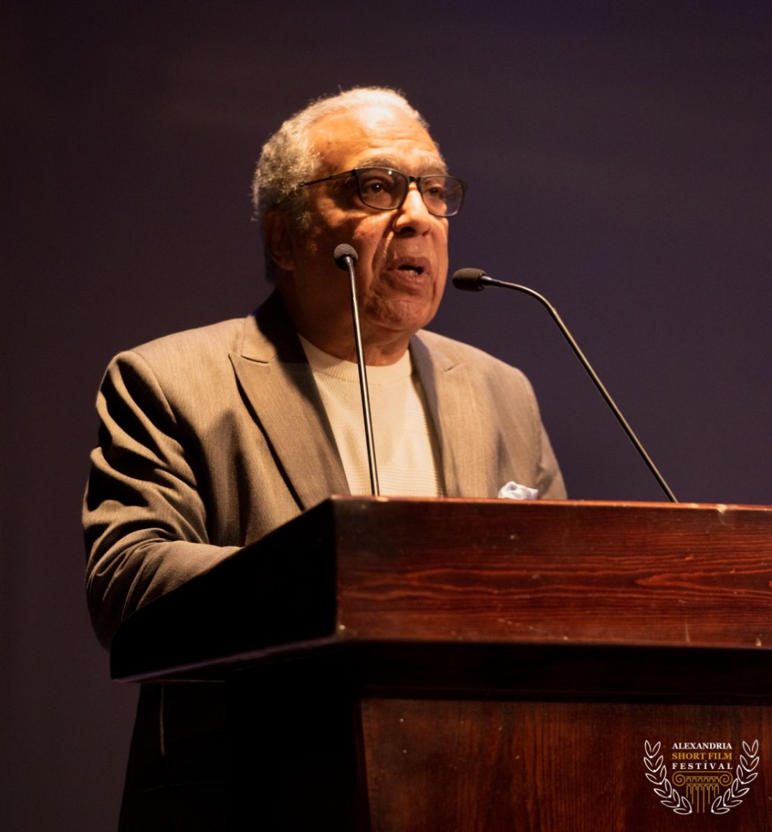 مهرجان الإسكندرية للفيلم القصير 