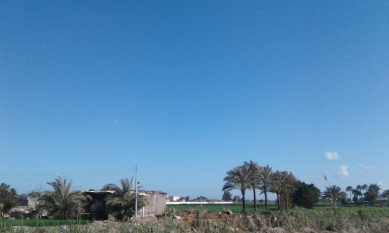 طقس شديد الحرارة يضرب مدن وقرى البحيرة